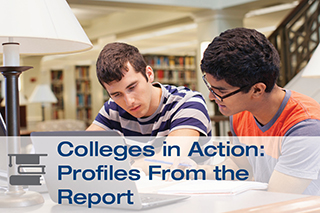College in Action: Profiles from the Report