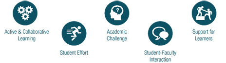 The Benchmarks of Effective Educational Practice are Active & Collaborative Learning, Student Effort, Academic Challenge, Student-Faculty Interaction, and Support for Learners.