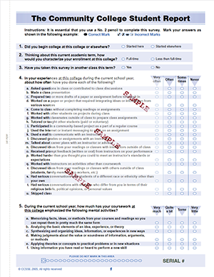 Image of the example scantron for the 2004 survey instrument